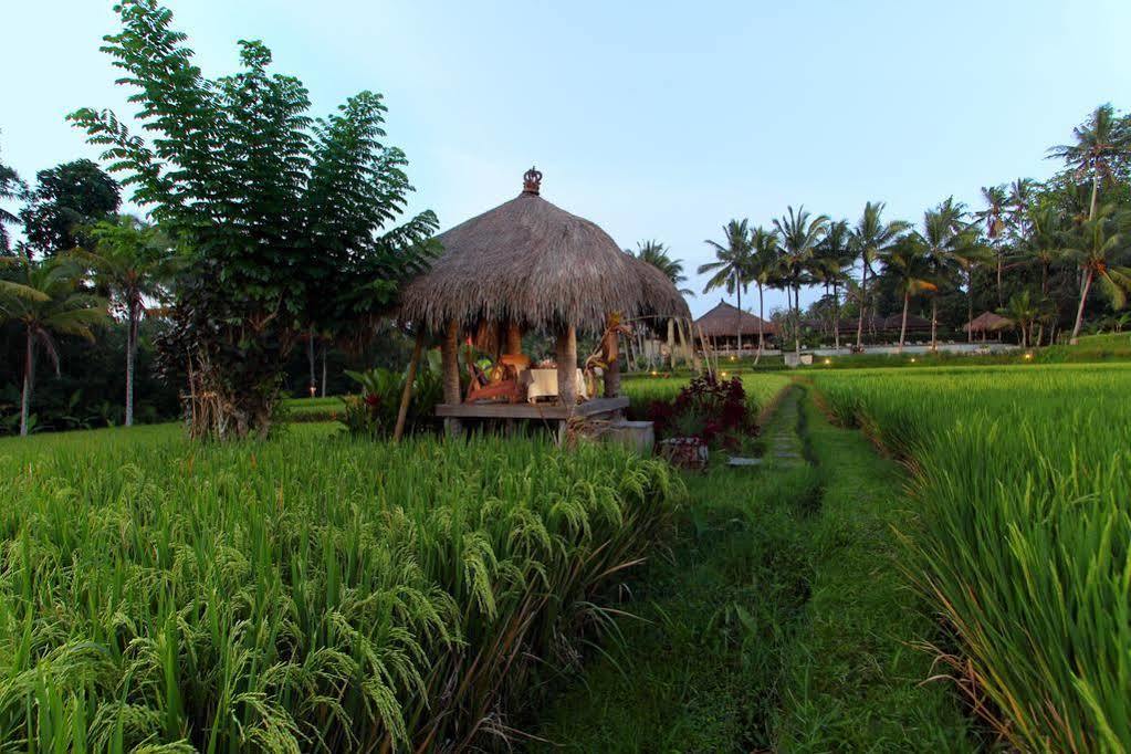 Kencana Ubud By Mahaputra מראה חיצוני תמונה
